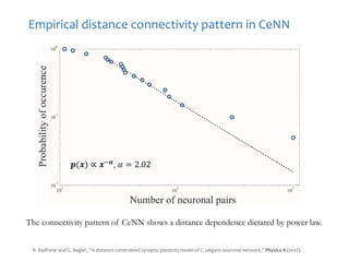Empirical distance connectivity pattern in CeNN
The connectivity pattern of CeNN shows a distance dependence dictated by power law.
R. Badhwar and G. Bagler, “A distance constrained synaptic plasticity model of C. elegans neuronal network,” Physica A (2017).
𝒑(𝒙) ∝ 𝒙−𝜶, 𝛼 = 2.02
 