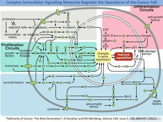 “Hallmarks of Cancer: The Next Generation”, D Hanahan and RA Weinberg, Volume 144, Issue 5, Cell, 646-674. (2011).
Complex Intracellular Signalling Networks Regulate the Operations of the Cancer Cell
 