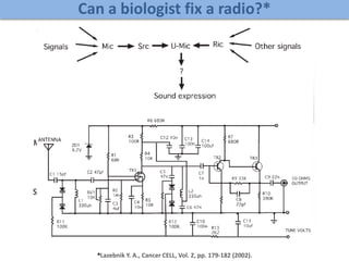 *Lazebnik Y. A., Cancer CELL, Vol. 2, pp. 179-182 (2002).
Can a biologist fix a radio?*
 