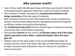 • Two of these motifs (feedforward loop and bi-fan) were found in both the
transcriptional gene regulation networks as well as neuronal networks.
• This similarity in motifs may point to a fundamental similarity in the
design constraints of the two types of networks.
• Both networks function to carry information from sensory components
(sensory neurons/transcription factors regulated by biochemical signals)
to effectors (motor neurons/structural genes).
• The feedforward loop motif common to both types of networks may play
a functional role in information processing.
• One possible function of this circuit is to activate output only if the input
signal is persistent and to allow a rapid deactivation when the input
goes off.
• Indeed, many of the input nodes in the neural feedforward loops are
sensory neurons, which may require this type of information processing
to reject transient input fluctuations that are inherent in a variable or
noisy environment.
Why common motifs?
R. Milo et al., ‘Network Motifs: Simple Building Blocks of Complex Networks’, Science 298, 824 (2002).
 