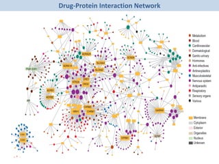 Drug-Protein Interaction Network
 