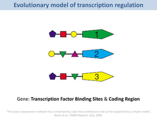 Evolutionary model of transcription regulation
Gene: Transcription Factor Binding Sites & Coding Region
“The yeast coexpression network has a small-world, scale-free architecture and can be explained by a simple model”,
Noort et al., EMBO Reports, 5(3), 2004.
 