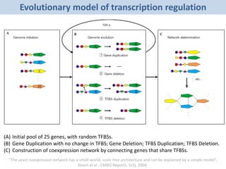 Evolutionary model of transcription regulation
(A) Initial pool of 25 genes, with random TFBSs.
(B) Gene Duplication with no change in TFBS; Gene Deletion; TFBS Duplication; TFBS Deletion.
(C) Construction of coexpression network by connecting genes that share TFBSs.
“The yeast coexpression network has a small-world, scale-free architecture and can be explained by a simple model”,
Noort et al., EMBO Reports, 5(3), 2004.
 
