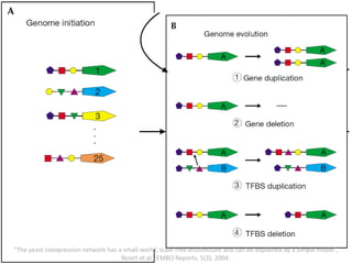 “The yeast coexpression network has a small-world, scale-free architecture and can be explained by a simple model”,
Noort et al., EMBO Reports, 5(3), 2004.
 
