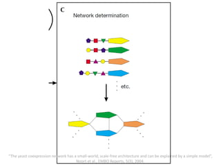 “The yeast coexpression network has a small-world, scale-free architecture and can be explained by a simple model”,
Noort et al., EMBO Reports, 5(3), 2004.
 