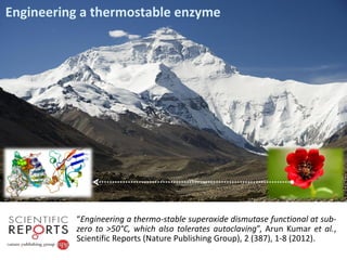“Engineering a thermo-stable superoxide dismutase functional at sub-
zero to >50°C, which also tolerates autoclaving”, Arun Kumar et al.,
Scientific Reports (Nature Publishing Group), 2 (387), 1-8 (2012).
Engineering a thermostable enzyme
 