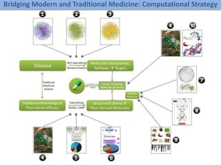 Bridging Modern and Traditional Medicine: Computational Strategy
 
