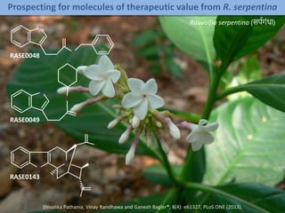 Prospecting for molecules of therapeutic value from R. serpentina
RASE0048
RASE0049
RASE0143
Rauvolfia serpentina (सर्पगंधा)
Shivalika Pathania, Vinay Randhawa and Ganesh Bagler*, 8(4): e61327, PLoS ONE (2013).
 