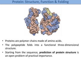 Protein: Structure, Function & Folding
• Proteins are polymer chains made of amino acids.
• The polypeptide folds into a functional three-dimensional
structure.
• Starting from the sequence, prediction of protein structure is
an open problem of practical importance.
 