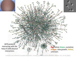 ‘Lethality and centrality in protein networks’, H Jeong, Sp Meson and A-LBarabasi, Nature 411, 41-42 (2001).
1870 proteins
interacting with the
help of 2240 physical
interactions
Red, lethal; Green, nonlethal;
Orange, slow growth; Yellow,
unknown.
 