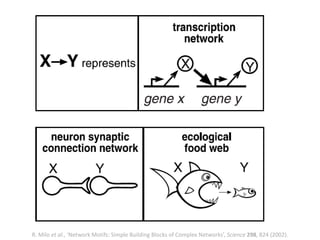 R. Milo et al., ‘Network Motifs: Simple Building Blocks of Complex Networks’, Science 298, 824 (2002).
 