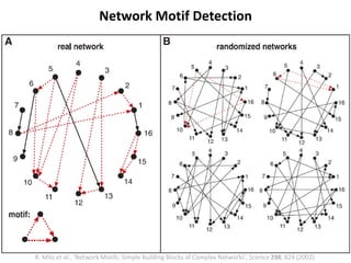 Network Motif Detection
R. Milo et al., ‘Network Motifs: Simple Building Blocks of Complex Networks’, Science 298, 824 (2002).
 
