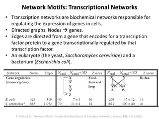 • Transcription networks are biochemical networks responsible for
regulating the expression of genes in cells.
• Directed graphs. Nodes  genes.
• Edges are directed from a gene that encodes for a transcription
factor protein to a gene transcriptionally regulated by that
transcription factor.
• An eukaryote (the yeast, Saccharomyces cerevisiae) and a
bacterium (Escherichia coli).
Network Motifs: Transcriptional Networks
R. Milo et al., ‘Network Motifs: Simple Building Blocks of Complex Networks’, Science 298, 824 (2002).
 