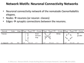• Neuronal connectivity network of the nematode Caenorhabditis
elegans.
• Nodes  neurons (or neuron classes)
• Edges  synaptic connections between the neurons.
Network Motifs: Neuronal Connectivity Networks
R. Milo et al., ‘Network Motifs: Simple Building Blocks of Complex Networks’, Science 298, 824 (2002).
 