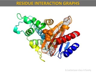 b-Lactamase class A family
RESIDUE INTERACTION GRAPHS
 