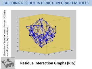 BUILDING RESIDUE INTERACTION GRAPH MODELS
Residue Interaction Graphs (RIG)
-10
-5
0
5
10
15 -20
-10
0
10
20-8
-6
-4
-2
0
2
4
6
8
-10
-5
0
5
10
15 -20
-10
0
10
20-8
-6
-4
-2
0
2
4
6
8
N
C
-10
-5
0
5
10
15 -20
-10
0
10
20-8
-6
-4
-2
0
2
4
6
8
-10
-5
0
5
10
15 -20
-10
0
10
20-8
-6
-4
-2
0
2
4
6
8
-10
-5
0
5
10
15 -20
-10
0
10
20-8
-6
-4
-2
0
2
4
6
8
-10
-5
0
5
10
15 -20
-10
0
10
20-8
-6
-4
-2
0
2
4
6
8
-10
-5
0
5
10
15 -20
-10
0
10
20-8
-6
-4
-2
0
2
4
6
8
IllustrationofProteinContactNetwork(PCN)for
asmallprotein,Acyltransferase.
 
