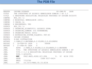 The PDB File
 