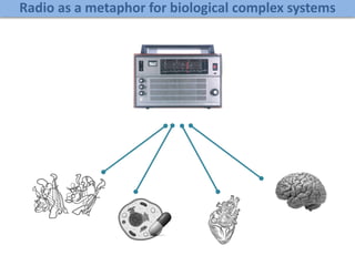 Radio as a metaphor for biological complex systems
 
