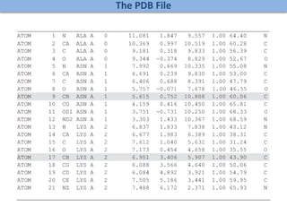 The PDB File
 