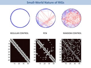 Small-World Nature of RIGs
REGULAR CONTROL PCN RANDOM CONTROL
 