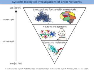 Systems Biological Investigations of Brain Networks
R Badhwar and G Bagler*, PLoS ONE, 10(9), e0139204 (2015); R Badhwar and G Bagler*, Physica A, 469, 313-322 (2017).
 
