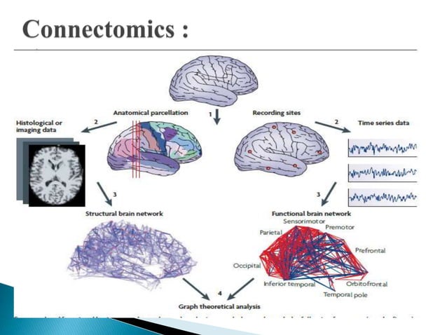 networks in psychiatry.pptx