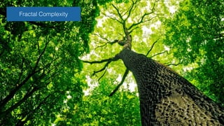 Evolutionary Fitness 
 