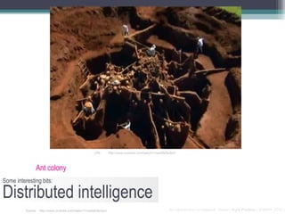 URL:       http://www.youtube.com/watch?v=ozkBd2p2piU




                Ant colony
Some interesting bits:

Distributed intelligence
          Source: http://www.youtube.com/watch?v=ozkBd2p2piU                                         An Introduction to Network Theory | Kyle Findlay | SAMRA 2010 |
 