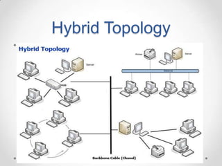 Hybrid Topology
• a
 