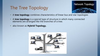 Network topology | PPT