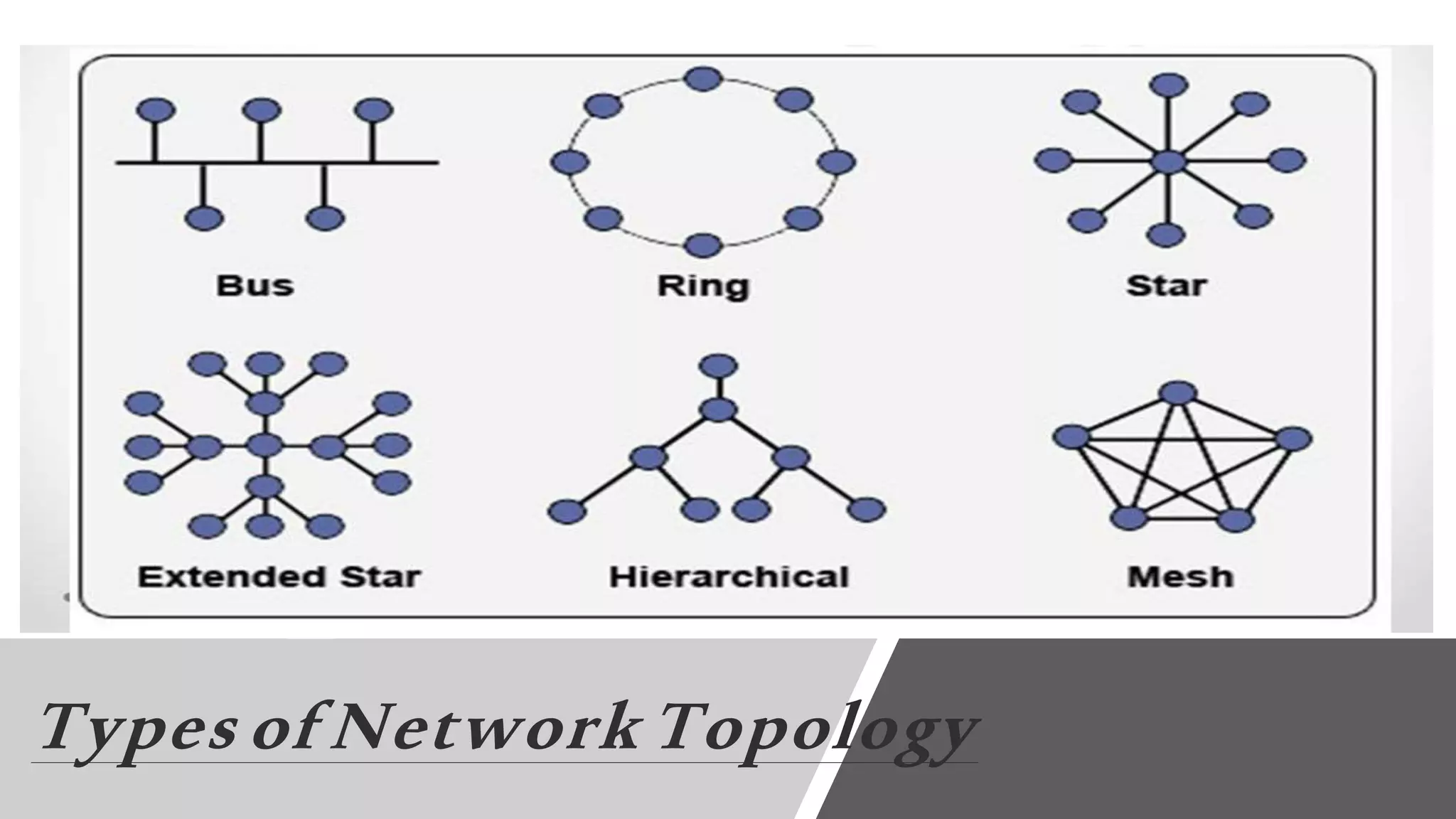 Types of Network Topology
 