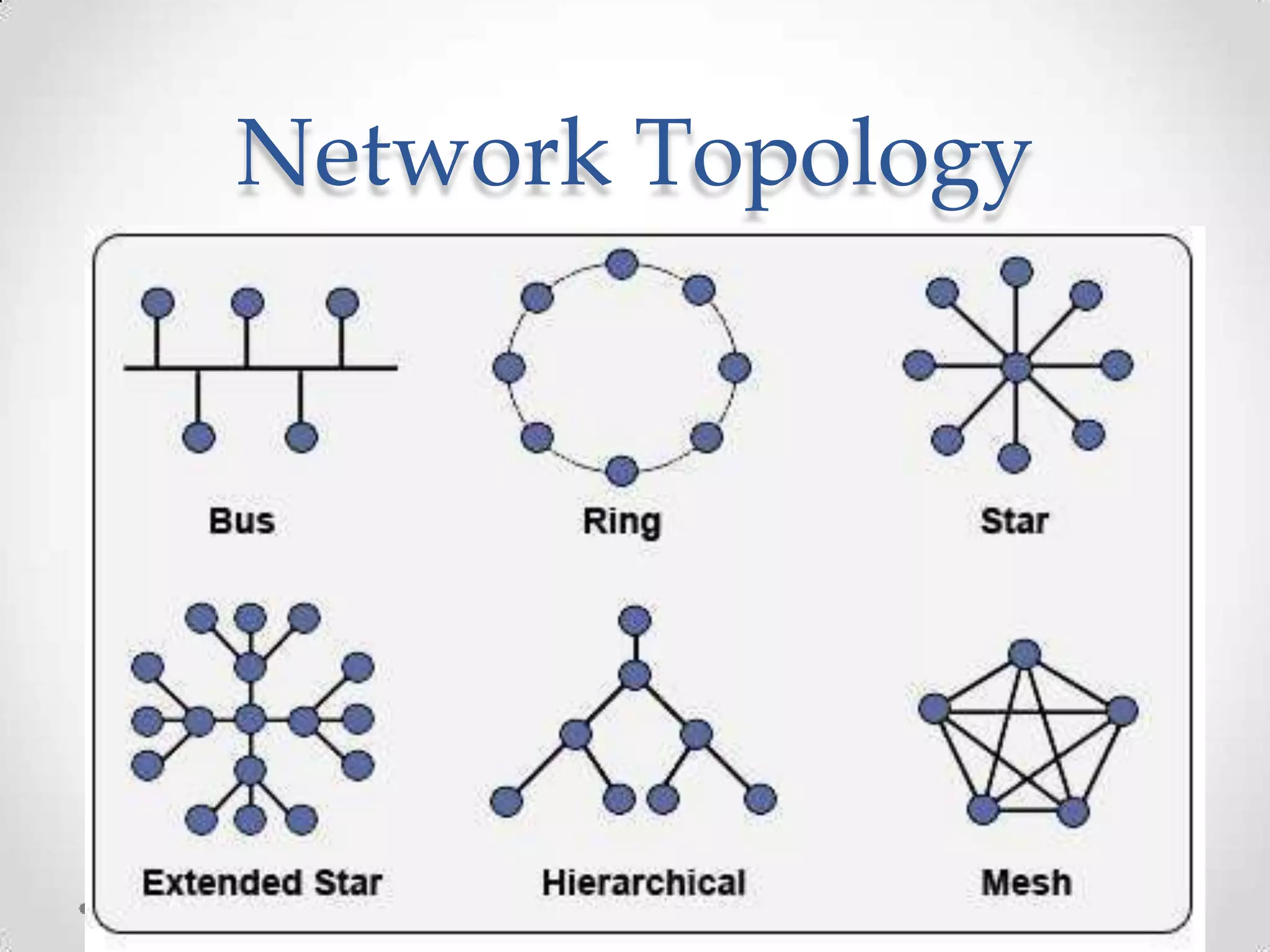 Network Topology
 
