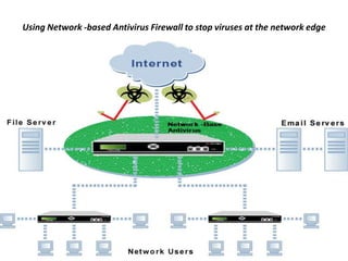 Using Network -based Antivirus Firewall to stop viruses at the network edge
 