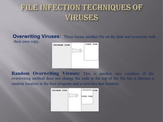 Overwriting Viruses: These locate another file on the disk and overwrite with
 their own copy.




Random Overwriting Viruses: This is another rare variation of the
overwriting method does not change the code at the top of the file but it chooses a
random location in the host program and overwrites that location.
 