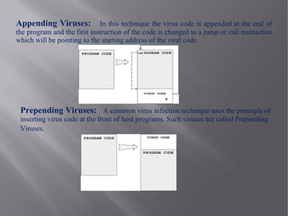 Appending Viruses:            In this technique the virus code is appended at the end of
the program and the first instruction of the code is changed to a jump or call instruction
which will be pointing to the starting address of the viral code.




 Prepending Viruses: A common virus infection technique uses the principle of
 inserting virus code at the front of host programs. Such viruses are called Prepending
 Viruses.
 