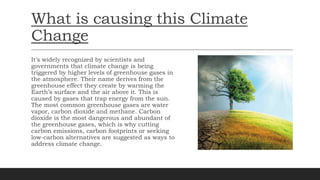 What is causing this Climate
Change
It’s widely recognized by scientists and
governments that climate change is being
triggered by higher levels of greenhouse gases in
the atmosphere. Their name derives from the
greenhouse effect they create by warming the
Earth’s surface and the air above it. This is
caused by gases that trap energy from the sun.
The most common greenhouse gases are water
vapor, carbon dioxide and methane. Carbon
dioxide is the most dangerous and abundant of
the greenhouse gases, which is why cutting
carbon emissions, carbon footprints or seeking
low-carbon alternatives are suggested as ways to
address climate change.
 