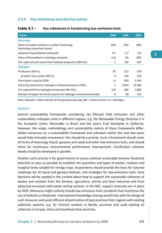  
Chapter 3 | Sectoral pathways to net-zero emissions by 2050 111
3
3.3.4 Key milestones and decision points 
Table 3.1 ⊳ Key milestones in transforming low-emissions fuels
Sector   2020  2030  2050 
Bioenergy       
Share of modern biofuels in modern bioenergy 
(excluding conversion losses) 
20%  45%  48% 
Advanced liquid biofuels (mboe/d)  0.1  2.7  6.2 
Share of biomethane in total gas networks  <1%  2%  20% 
CO2 captured and stored from biofuels production (Mt CO2)  1  150  625 
Hydrogen       
Production (Mt H2)  87  212  528 
    of which: low‐carbon (Mt H2)  9  150  520 
Electrolyser capacity (GW)  <1  850  3 585 
Electricity demand for hydrogen‐related production (TWh)  1  3 850  14 500 
CO2 captured from hydrogen production (Mt CO2)  135  680  1 800 
Number of export terminals at ports for hydrogen and ammonia trade  0  60  150 
Note: mboe/d = million barrels of oil equivalent per day; Mt = million tonnes; H2 = hydrogen. 
Biofuels 
Several  sustainability  frameworks  considering  net  lifecycle  GHG  emissions  and  other 
sustainability indicators exist in different regions, e.g. the Renewable Energy Directive II in 
the  European  Union,  RenovaBio  in  Brazil  and  the  Low‐C  Fuel  Standards  in  California. 
However, the scope, methodology and sustainability metrics of these frameworks differ. 
Global consensus on a sustainability framework and indicators within the next few years 
would help stimulate investment; this should be a priority. Such a framework should cover 
all forms of bioenergy (liquid, gaseous and solid) and other low‐emissions fuels, and should 
strive  for  continuous  environmental  performance  improvement.  Certification  schemes 
ideally should be developed in parallel.  
Another early priority is for governments to assess national sustainable biomass feedstock 
potential as soon as possible to establish the quantities and types of wastes, residues and 
marginal lands suitable for energy crops. Assessments should provide the basis for national 
roadmaps for all liquid and gaseous biofuels, and strategies for low‐emissions fuels. Early 
decisions will be needed in this context about how to support the sustainable collection of 
wastes and residues from the forestry, agriculture, animal and  food industries and from 
advanced municipal solid waste sorting systems: in the NZE, support measures are in place 
by 2025. Measures might usefully include low‐emissions fuels standards that incentivise the 
use of biofuels as feedstock. International knowledge‐sharing would help with the design of 
such measures and assist efficient dissemination of best practices from regions with existing 
collection  systems,  e.g.  for  forestry  residues  in  Nordic  countries  and  used  cooking  oil 
collection in Europe, China and Southeast Asia countries. 
IEA.
All
rights
reserved.
 