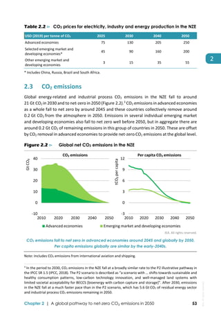  
Chapter 2 | A global pathway to net-zero CO₂ emissions in 2050 53
2 
Table 2.2 ⊳ CO2 prices for electricity, industry and energy production in the NZE
USD (2019) per tonne of CO2  2025  2030  2040  2050 
Advanced economies  75  130  205  250 
Selected emerging market and 
developing economies* 
45  90  160  200 
Other emerging market and 
developing economies 
3  15  35  55 
* Includes China, Russia, Brazil and South Africa. 
2.3 CO2 emissions 
Global  energy‐related  and  industrial  process  CO2  emissions  in  the  NZE  fall  to  around 
21 Gt CO2 in 2030 and to net‐zero in 2050 (Figure 2.2).3
 CO2 emissions in advanced economies 
as a whole fall to net zero by around 2045 and these countries collectively remove around 
0.2 Gt CO2 from the atmosphere in 2050. Emissions in several individual emerging market 
and developing economies also fall to net zero well before 2050, but in aggregate there are 
around 0.2 Gt CO2 of remaining emissions in this group of countries in 2050. These are offset 
by CO2 removal in advanced economies to provide net‐zero CO2 emissions at the global level.  
Figure 2.2 ⊳ Global net CO2 emissions in the NZE
 
IEA. All rights reserved.
CO2 emissions fall to net zero in advanced economies around 2045 and globally by 2050.
Per capita emissions globally are similar by the early-2040s.
Note: Includes CO2 emissions from international aviation and shipping. 
                                                                                                                                
3
 In the period to 2030, CO2 emissions in the NZE fall at a broadly similar rate to the P2 illustrative pathway in 
the IPCC SR 1.5 (IPCC, 2018). The P2 scenario is described as “a scenario with … shifts towards sustainable and 
healthy  consumption  patterns,  low‐carbon  technology  innovation,  and  well‐managed  land  systems  with 
limited societal acceptability for BECCS [bioenergy with carbon capture and storage]”. After 2030, emissions 
in the NZE fall at a much faster pace than in the P2 scenario, which has 5.6 Gt CO2 of residual energy sector 
and industrial process CO2 emissions remaining in 2050. 
‐10
0
10
20
30
40
2010 2020 2030 2040 2050
Gt CO₂
Advanced economies Emerging market and developing economies
CO₂ emissions
‐3
0
3
6
9
12
2010 2020 2030 2040 2050
tCO₂ per capita
Per capita CO₂ emissions
IEA.
All
rights
reserved.
 