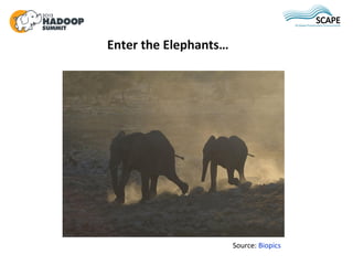 Enter the Elephants…




                       Source: Biopics
 