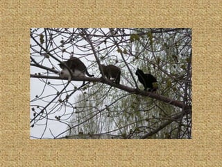 Neues aus der tierwelt