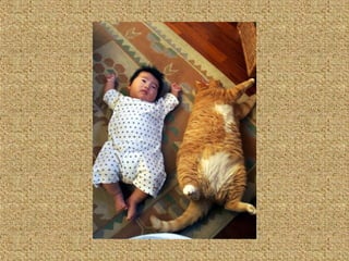 Neues aus der tierwelt