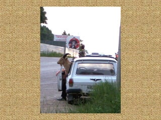 Neues aus der tierwelt