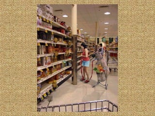 Neues aus der tierwelt