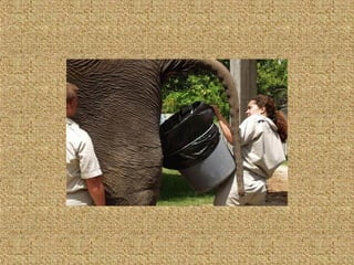 Neues aus der tierwelt