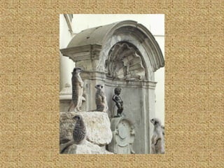 Neues aus der tierwelt