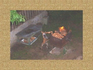 Neues aus der tierwelt