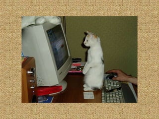 Neues aus der tierwelt