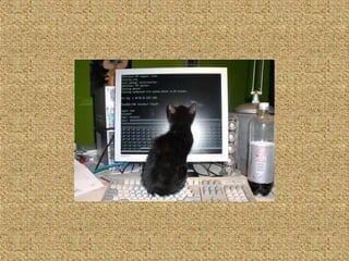 Neues aus der tierwelt