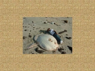 Neues aus der tierwelt