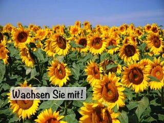 Was ist einfach präsentieren?